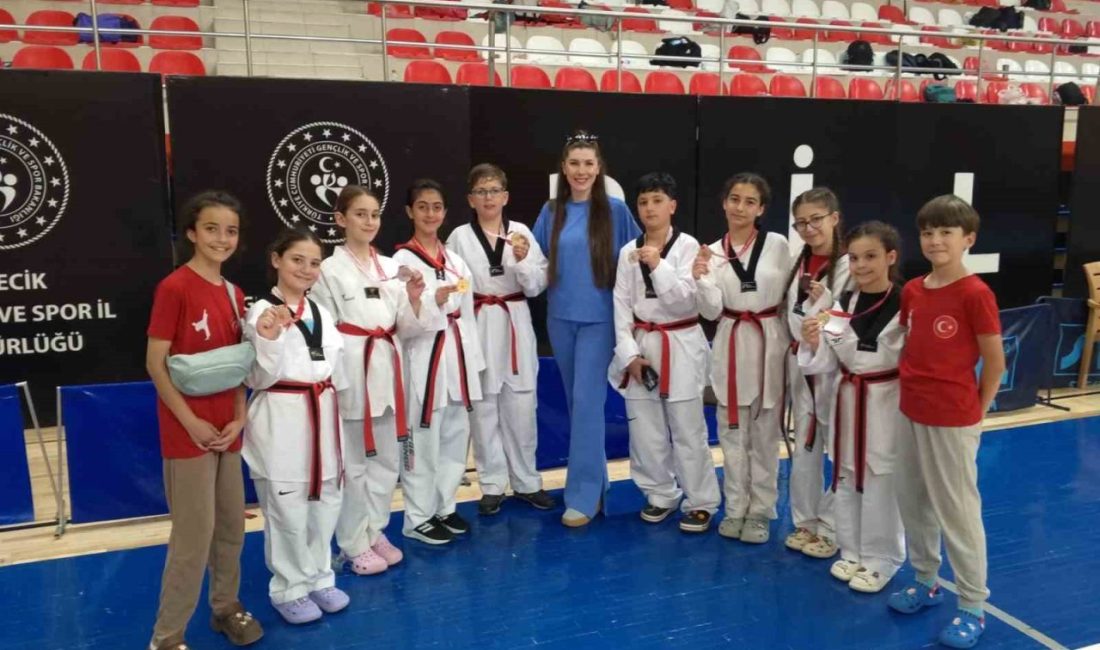 Bilecik’te Okul Sporları Faaliyetleri kapsamında düzenlenen Minikler ve Küçükler Taekwondo