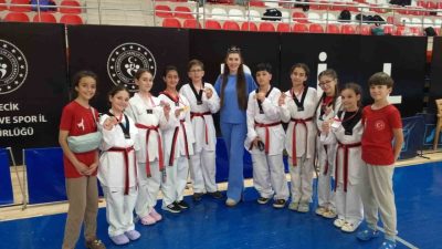Bilecik’te Okul Sporları Faaliyetleri kapsamında düzenlenen Minikler ve Küçükler Taekwondo