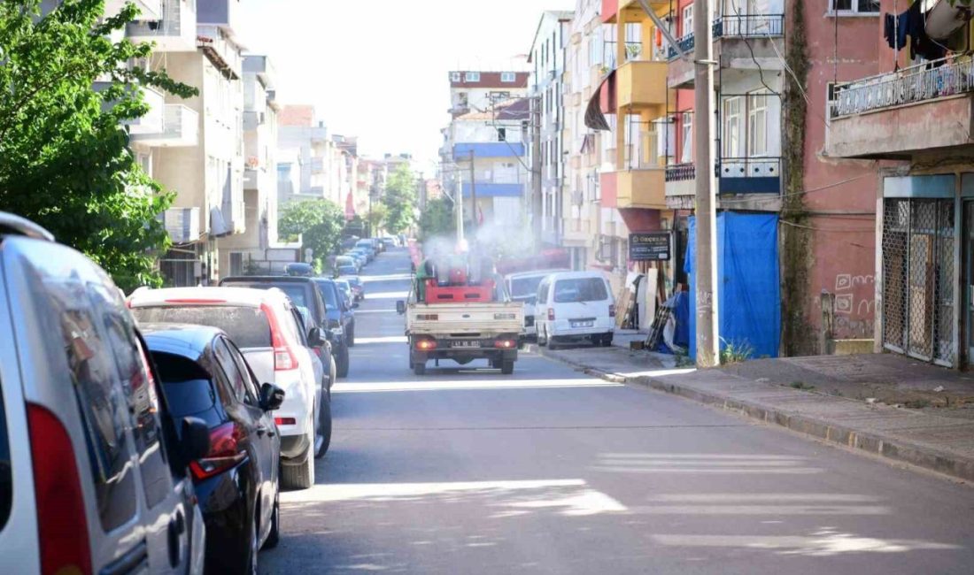 Çayırova’da halk sağlığını korumak ve vektör üremesini engellemek amacıyla periyodik
