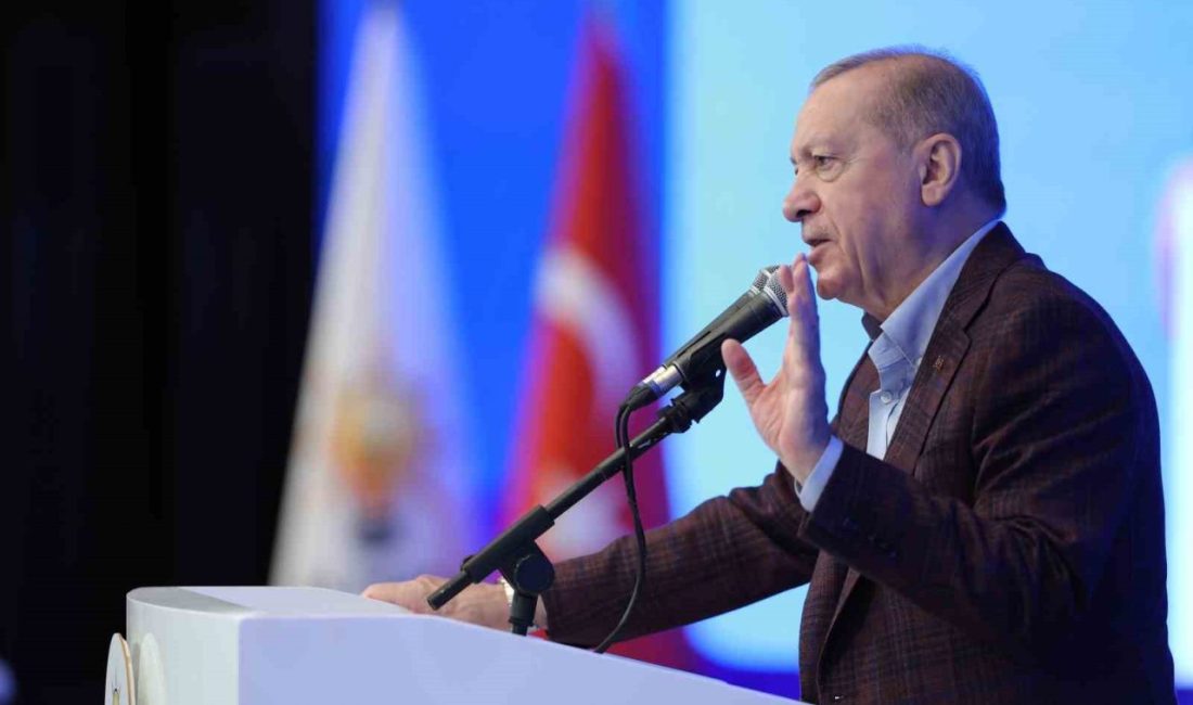 Cumhurbaşkanı Recep Tayyip Erdoğan, “Zaman zaman marjinal, cahil, geri kafalı