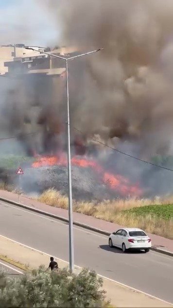 Darıca’da arazide korkutan yangın Kocaeli’nin Darıca ilçesinde boş arazide çıkan yangın paniğe sebep oldu.