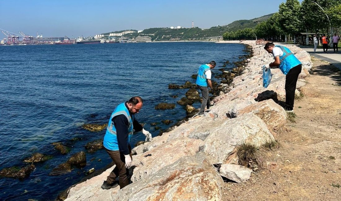 Türkiye Çevre Haftası ve Marmara Denizi Günü etkinlikleri kapsamında, Dilovası’nda