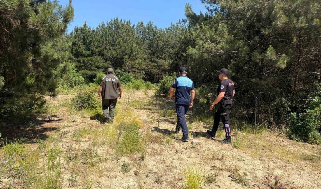 Dilovası’nda orman yangınlarına karşı sıkı denetim Dilovası’nda yaz aylarının gelmesi ve hava sıcaklıklarının artmasıyla birlikte ormanlık