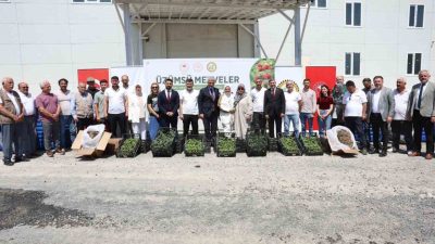 DÜZCE(İHA) – Düzce’de Üzümsü Meyveler Mali Destek Projesi kapsamında çiftçilere