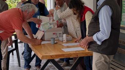 DÜZCE (İHA) – Düzce genelinde kahverengi kokarca zararlısına karşı yürütülen