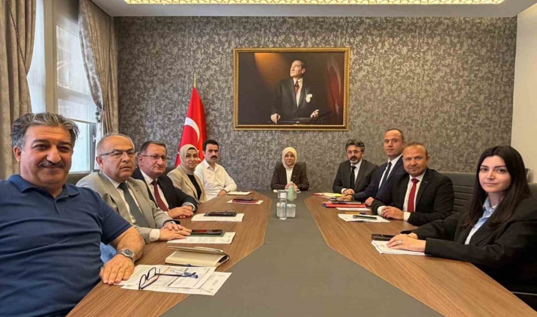 öğretim faaliyetleri ve planlanan çalışmalar masaya yatırıldı. Düzce İl Millî