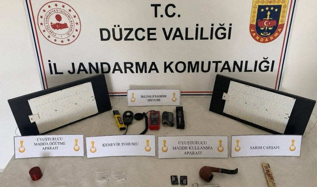 DÜZCE(İHA) – Düzce’de yasa dışı kenevir ekimi yaparak uyuşturucu madde