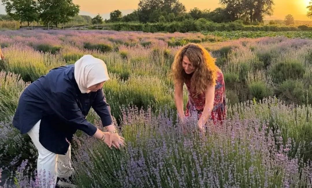 Düzce Merkeze bağlı Konaklı Köyü’nde, 2020 yılında 4 dekar alana