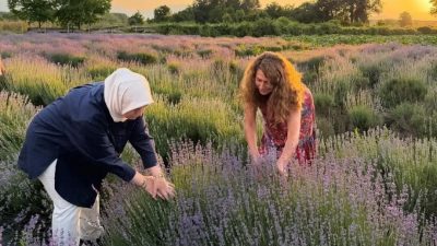 Düzce Merkeze bağlı Konaklı Köyü’nde, 2020 yılında 4 dekar alana