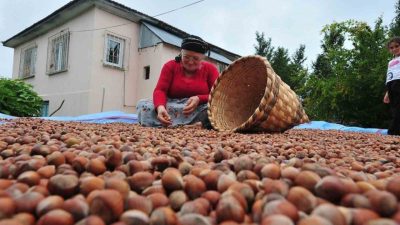 Düzce’den Avrupa Birliğine üye ülkelere dört ayda 5 bin 291,7