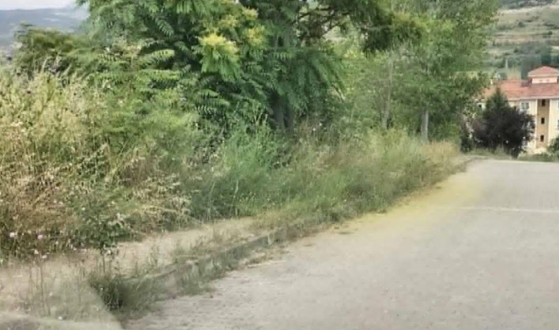 Bilecik’te vatandaşlar yaya kaldırımları saran otlar yüzünden yılan çıkacak korkusuyla