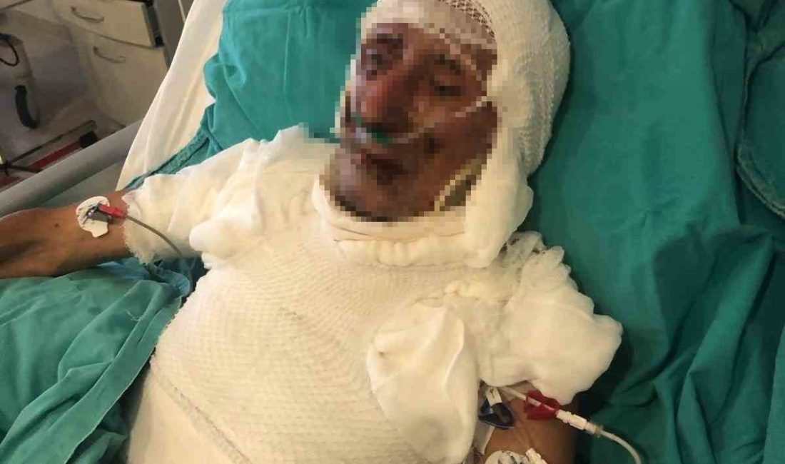 Kastamonu’nun Cide ilçesinde kardeşini kilitlediği ahırı ateşe verdiği iddiasıyla yargılanan