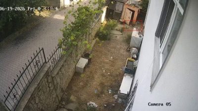 Kocaeli’nin Darıca ilçesinde tavuk kümesinden yumurta alan karga, güvenlik kamerasınca