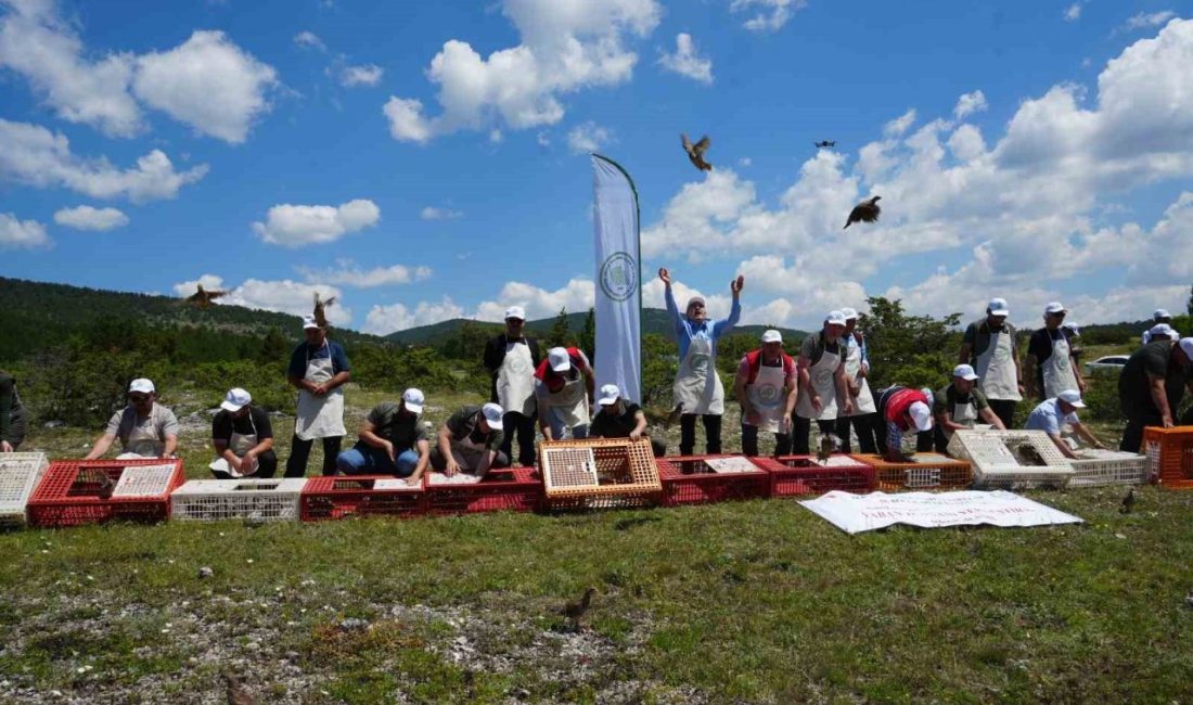 Kastamonu Doğa Koruma ve Milli Parklar Müdürlüğünce kene başta olmak