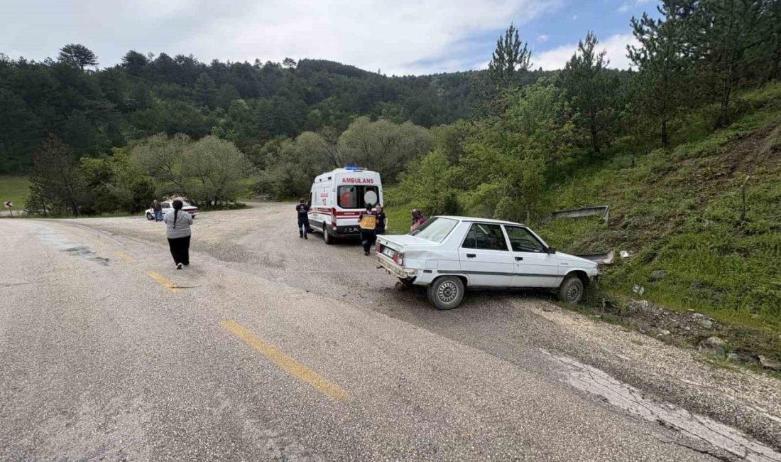 Kastamonu’nun Tosya ilçesinde otomobilin yoldan çıkarak yamaca çarptığı kazada 2