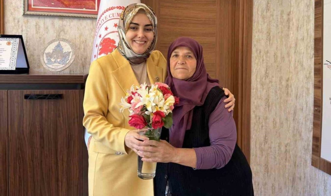 Bilecik’in Gölpazarı ilçesinde Gölpazarı Kaymakamı Feyza Nur Odabaşı’na duygulandıran veda