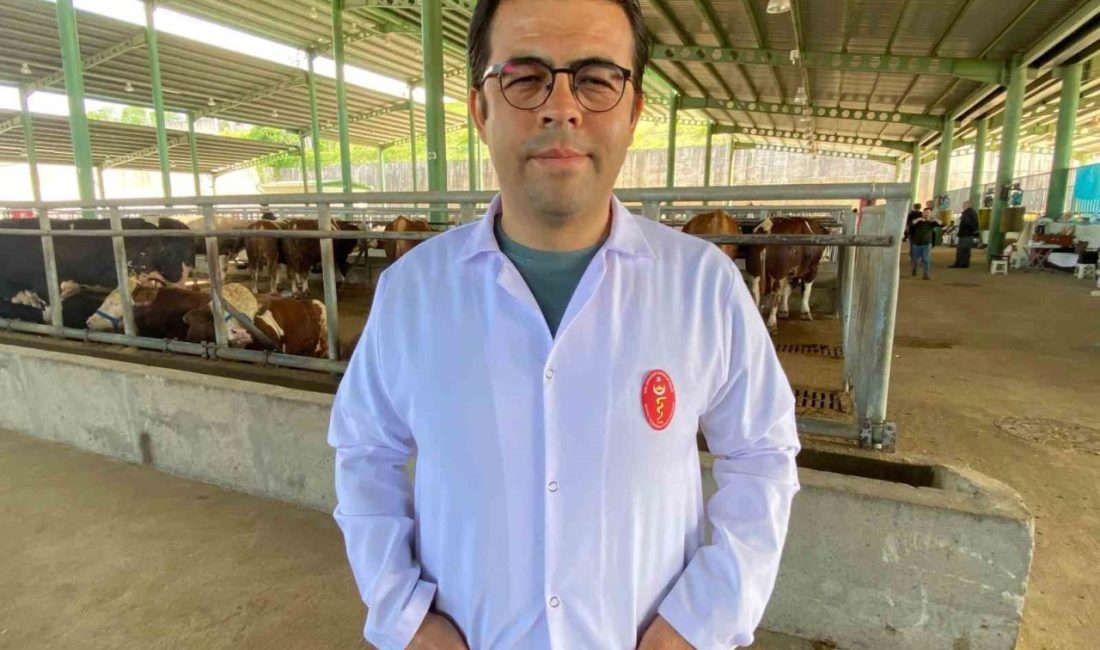 Kene tehdidine dikkat: 200’den fazla hastalık etkeni taşıyabiliyor Havaların ısınmasıyla birlikte kene vakalarında artış yaşanırken, uzmanlar özellikle kırsal