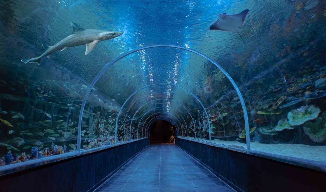 Kocaeli’de 700 milyon liralık yatırımla hayata geçirilen Körfez Aqua Kıtalar