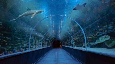 Kocaeli’de 700 milyon liralık yatırımla hayata geçirilen Körfez Aqua Kıtalar