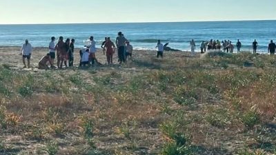 Sakarya’nın Kocaali ilçesinde denizde akıntıya kapılarak boğulma tehlikesi geçiren baba