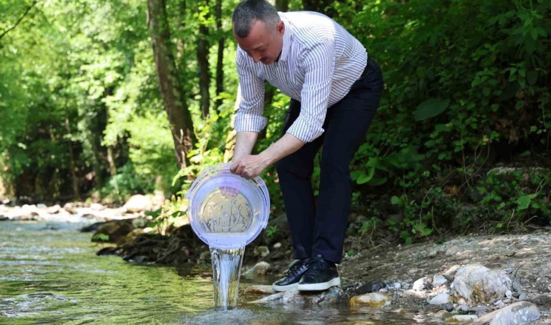 Kocaeli’de su ekosistemini korumak ve canlandırmak amacıyla yürütülen “Orman İçi