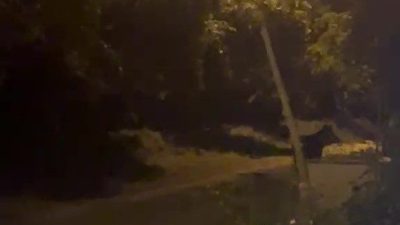Düzce’de köye gece saatlerinde inen ayı, köylülere büyük heyecan ve
