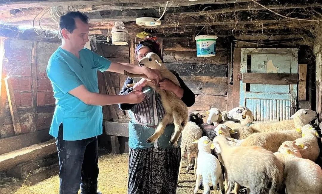 Düzce’nin Yığılca ilçesinde küçükbaş hayvan işletmelerine yönelik denetim ve kontrol