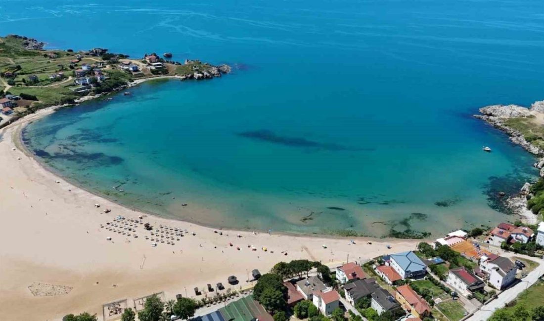 Kocaeli’de 9 plajda “Mavi Bayrak” unvanı korunurken, yaz sezonu öncesi