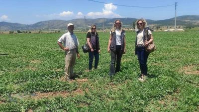 Bilecik’in Osmaneli ilçesine bağlı Medetli köyünde yetişen Medetli karpuzu iyi