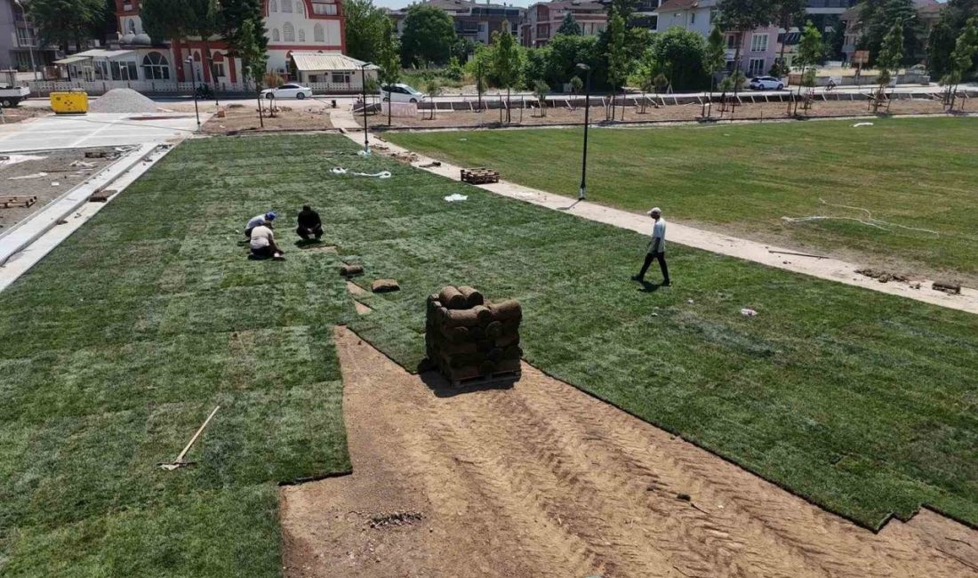 Düzce’nin en büyük parkı olacak Millet Bahçesi 2’de çalışmalar aralıksız