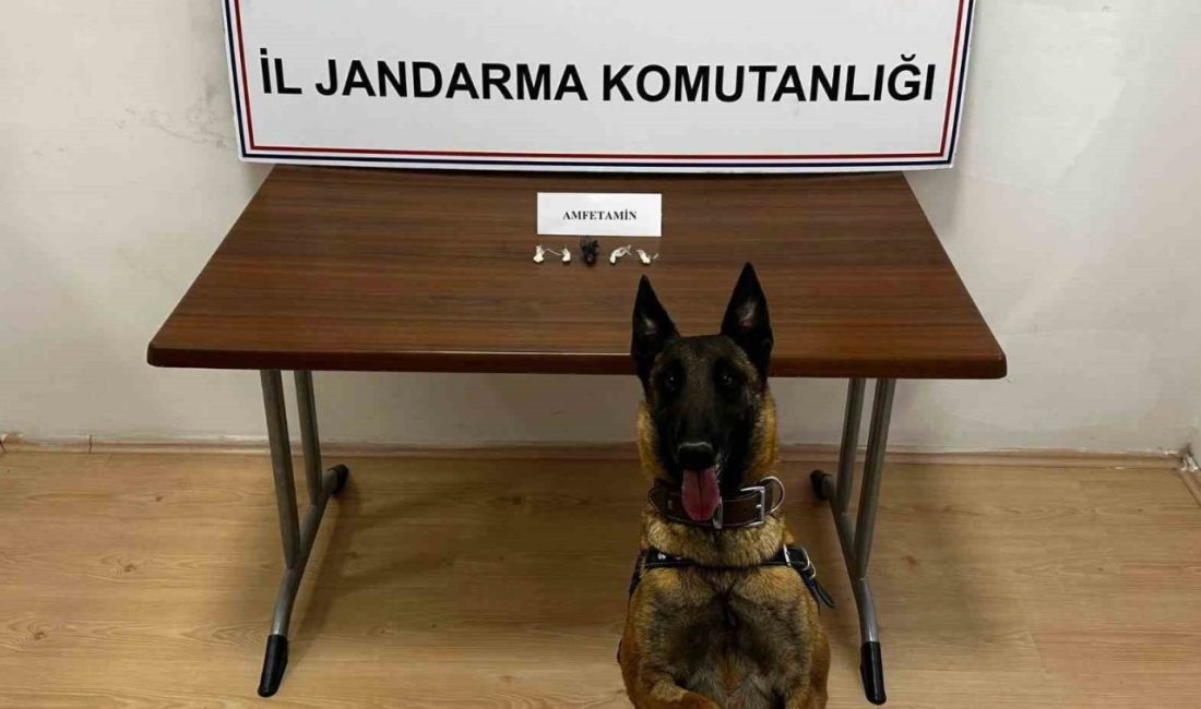Bilecik’te jandarma ekiplerince motosikletle uyuşturucu madde getirdikleri değerlendirilen şahıslara yönelik