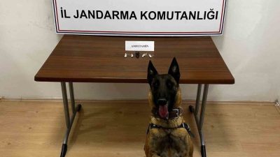 Bilecik’te jandarma ekiplerince motosikletle uyuşturucu madde getirdikleri değerlendirilen şahıslara yönelik