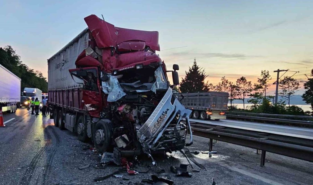 Anadolu Otoyolu Sakarya geçişinde önündeki kamyona çarpması neticesinde hurdaya dönen