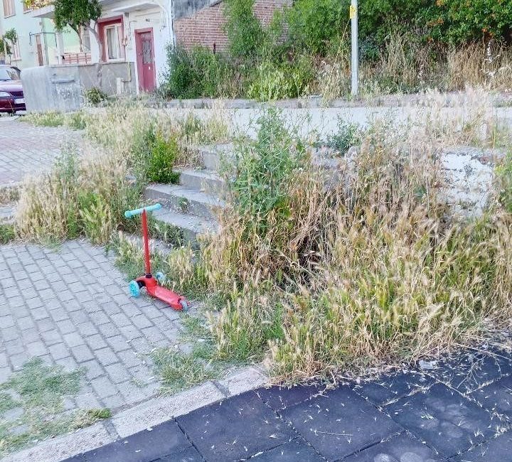 Otluk alana dönen bu park bakım ve temizlik bekliyor Bilecik’te adeta otluk alana dönen çocuk parkı bakım bekliyor. Bilecik