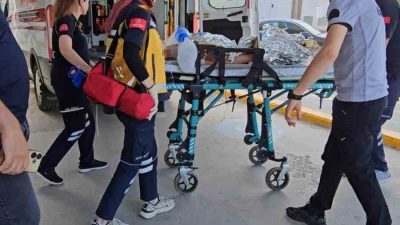 Sakarya’nın Sapanca ilçesinde konakladıkları bungalov tesisinin havuzunda can simidinden kayarak
