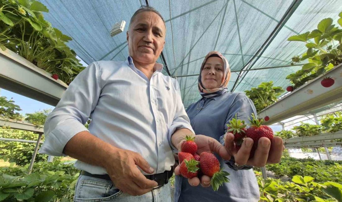 İstanbul’da 26 yıl çalıştıktan sonra emekli olup memleketleri Düzce’nin Kaynaşlı