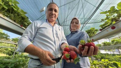 İstanbul’da 26 yıl çalıştıktan sonra emekli olup memleketleri Düzce’nin Kaynaşlı