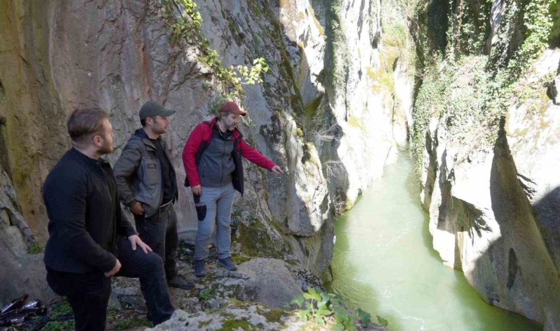 Kastamonu’nun Araç ilçesinde iki köy arasında yer alan ve tarihi