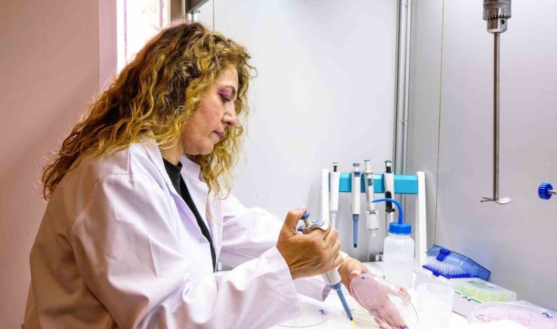 Bilecik Şeyh Edebali Üniversitesi (BŞEÜ) Ziraat ve Doğa Bilimleri Fakültesi