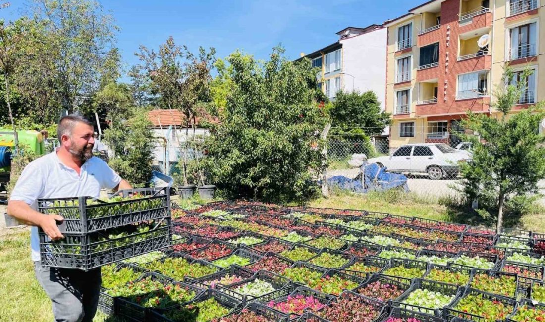 Taşköprü Belediyesi tarafından peyzaj çalışmaları kapsamında ilçe genelinde 70 bin