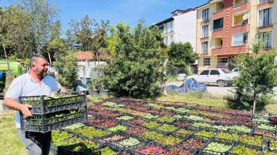 Taşköprü Belediyesi tarafından peyzaj çalışmaları kapsamında ilçe genelinde 70 bin