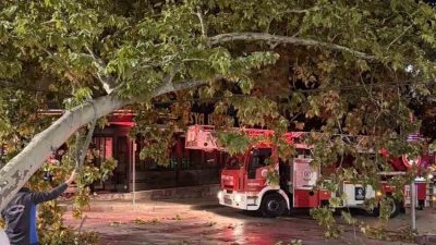 Kocaeli’nin İzmit ilçesinde çınar ağacından kopan dalın tramvay hattına düşmesiyle