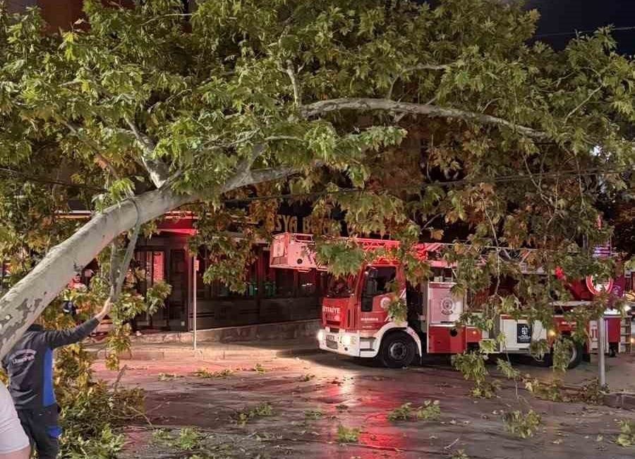 Kocaeli’nin İzmit ilçesinde çınar ağacından kopan dalın tramvay hattına düşmesiyle