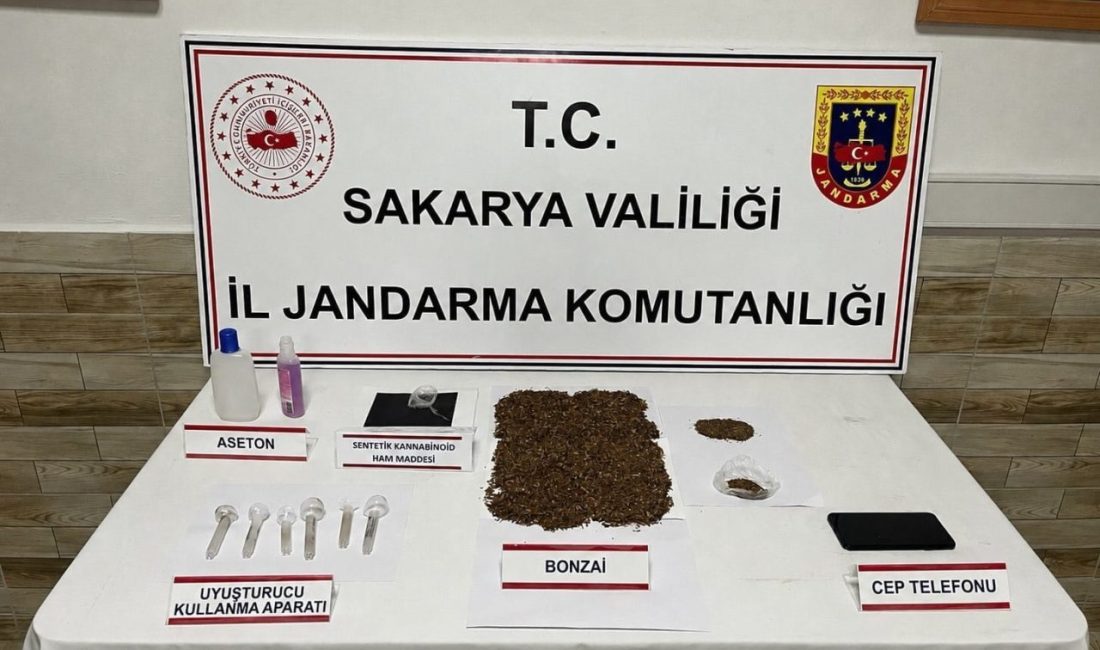 Sakarya’da jandarma ekiplerince düzenlenen operasyonda 212 kök kenevir bitkisi ile
