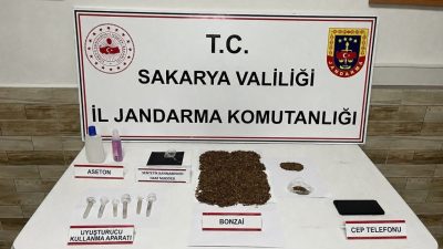 Sakarya’da jandarma ekiplerince düzenlenen operasyonda 212 kök kenevir bitkisi ile