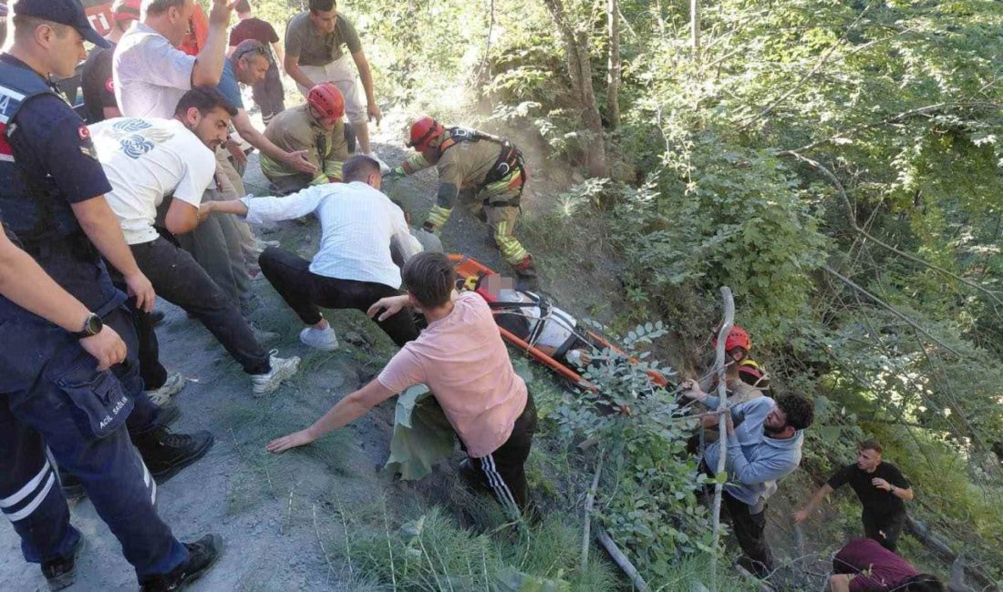 Düzce’de yayla yolunda otomobilin uçuruma yuvarlandığı kazada 1 kişi yaralandı.