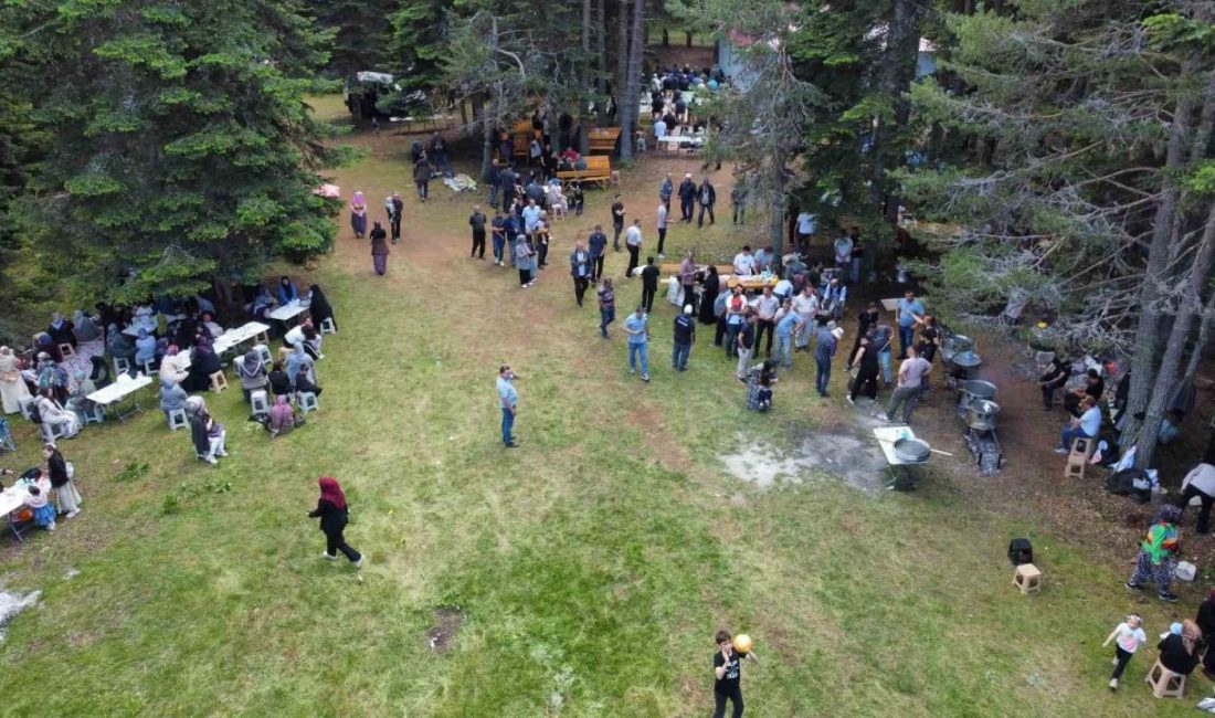 Bolu’nun Mudurnu ilçesine bağlı Çamyurdu köyü yaylasında yapımı tamamlanan Sarı