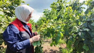 DÜZCE(İHA) – Düzce Tarım ve Orman İl Müdürü Esra Uzun,