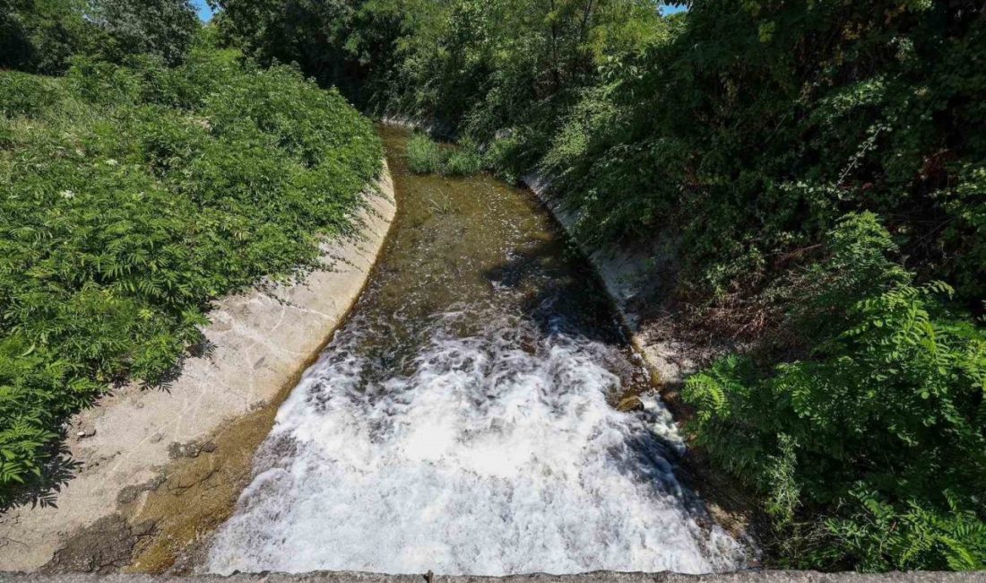 Sakarya Büyükşehir Belediyesi, şehrin ana içme suyu kaynağı olan Sapanca