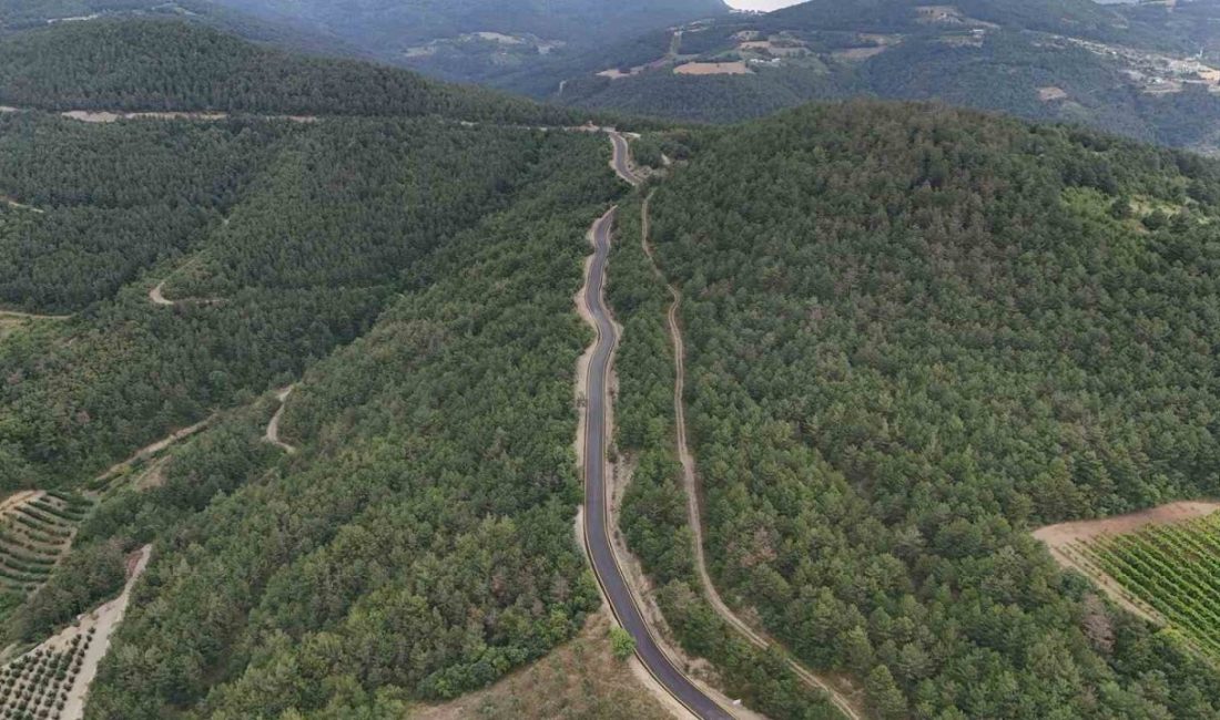 Sakarya’nın Geyve ilçesi Alıplar Mahallesi’ni ilçe merkezine bağlayan 9 kilometrelik